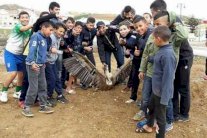 المغرب: فتح تحقيق بشان احتجاز نسر أطلقته سلطات الغابات