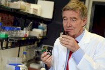 العطور تعزز عمل القلب