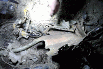 سقوط مقاتلة سورية في جنوب تركيا