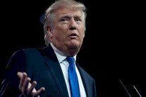 سي إن إن: ترامب يقضي ليله ونهاره في مشاهدتنا