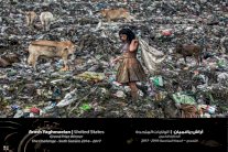 جائزة حمدان بن محمد للتصوير تختم موسم