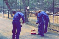 محمد بن راشد يعاقب المتورطين في تعذيب القطة