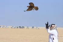 بغداد: نحقق مع الصيادين القطريين لتسليمهم لسفيرهم