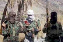 طهران تدعو باكستان إلى مواجهة