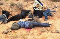 الهاجس الأمني يؤخر حل أزمة اللاجئين المطرودين من الجزائر