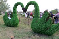 بغداد تحتضن مهرجان الزهور الدولي مزهوة بانتصاراتها