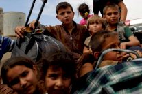 القطط والطيور تسد جوع المحاصرين بأيمن الموصل