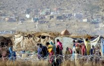 الولايات المتحدة 