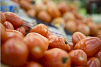 علماء يناقشون سبل تغيير مستقبل الغذاء لسكان الأرض