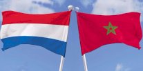 هولندا: استدعاء المغرب لسفيره غير مفهوم وغير مجدٍ