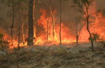 إجلاء 10 آلاف شخص بسبب حرائق في غرب كندا