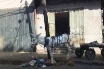 غزة تعيش احوالاً مزرية في ظل حكم حماس