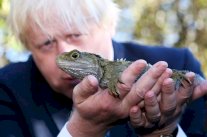 نيوزيلندا في مقدمة الشركاء التجاريين بعد بريكست