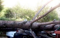 ثلاثة قتلى في حوادث سببتها العواصف في شمال ايطاليا