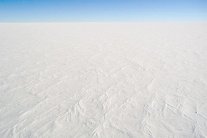 حل لغز نشوء الحيوانات قبل 650 مليون سنة