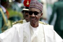 الفئران تحتل مكتب رئيس نيجيريا