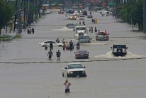 ترمب يعلن حالة الطوارىء في لويزيانا استعدادًا لـ 