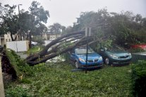 الاعصار إرما يجتاح فلوريدا وترمب يعلن حالة الكارثة الطبيعية