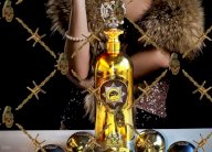 سرقة قنينة فودكا تقدر قيمتها بـ 1.3 مليون دولار من حانة دنماركية