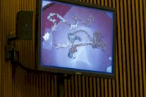 12 شقيقًا وشقيقة محتجزون بمنزلهم في كاليفورنيا يتضوّرون جوعًًا