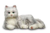 «قط روبوت» يخدم المسنين في حياتهم اليومية