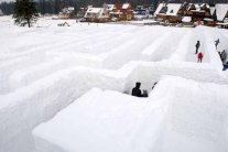 علماء يختبرون مدى تحمل البشر للصقيع