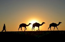 طالبان الباكستانية تقتل أربعة من أفراد قوات خاصة في كويتا