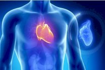 جهاز جيب لاكتشاف النوبات القلبية