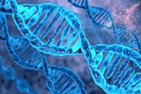 ماذا لو نستطيع تعديل حمضنا النووي؟