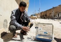 واشنطن تطالب بتحقيق جديد في الهجمات الكيميائية في سوريا