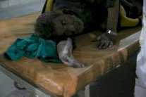 قوات النظام السوري تدخل حمورية في الغوطة الشرقية