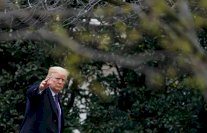 ألمانيا تدين السياسة