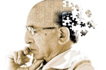 علماء ألمان أوقفوا تقدم الزهايمر جينياً