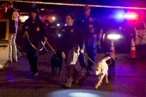 عاصمة تكساس مرعوبة… بعد إنفجار رابع طرد بريدي