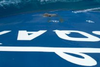 التحالف يحبط هجومًا حوثيًا استهدف ناقلة نفط سعودية