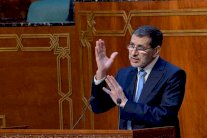 الفريق النيابي لـ