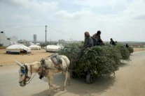 الجامعة العربية تطالب بلجنة تحقيق دولية في صدامات غزة