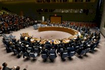 نقاش حول القطط والأرانب في مجلس الأمن!