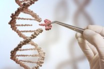 هل تحكم جيناتنا الوراثية تطور لغاتنا؟