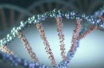 علماء: الذاكرة تنتقل من كائن إلى آخر بالحمض النووي