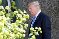 ترمب يغادر قمة مجموعة السبع في كندا وسط أجواء تهدئة