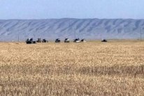 الحشد العراقي: طائرات أميركية ضربتنا في أراضينا لا السورية