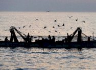 قتيل ومفقود إثر غرق مركب صيد إسباني قبالة الارجنتين