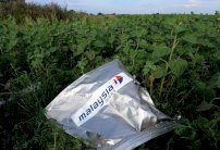 مطالبة روسيا بكشف دورها في إسقاط الطائرة الماليزية