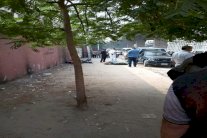 كلاب ضالة تفضح جريمة قتل 3 أطفال في مصر