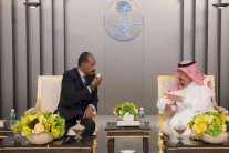 العاهل السعودي ورئيس إريتريا يعقدان جلسة مباحثات في جدة