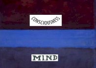 قراءة سريعة في المثقف والنقد