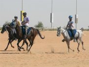 محمد بن راشد يشهد سباق دبي الدولي للقدرة