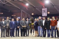 الفروسية السعودية تسيطر على ذهب بطولة الأمم الأوروبية