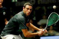 المصريان عاشور والشربجي إلى نهائي مونديال السكواش